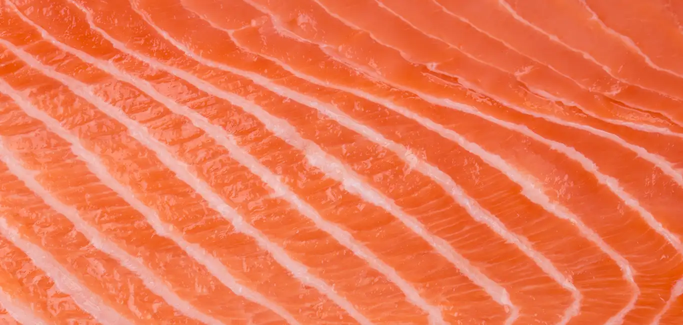 Omega 3 Voeding Vis